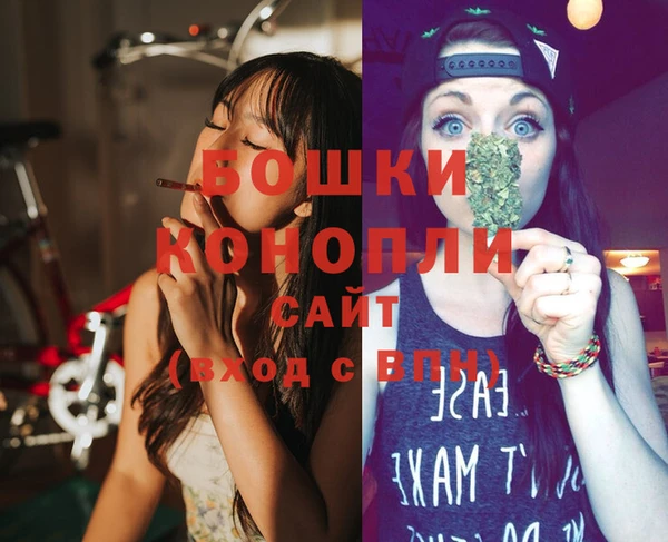 тгк Гусь-Хрустальный
